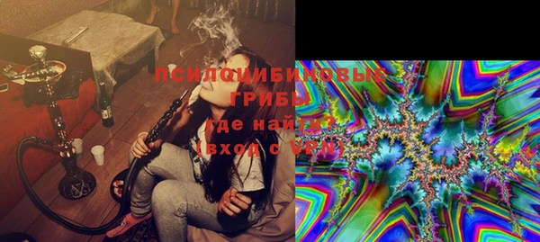 бошки Алексин