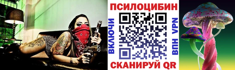 Галлюциногенные грибы прущие грибы  МЕГА ONION  Новоалександровск 