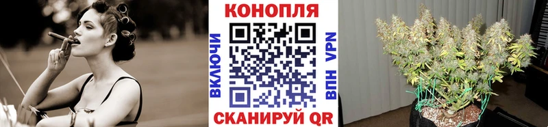 Шишки марихуана LSD WEED  наркота  shop наркотические препараты  Новоалександровск 